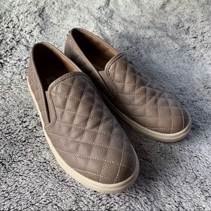 Steve Madden Ecentrcq shoes in grey